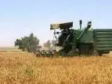 دولت حساب گندم کاران را تسویه کرد