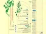 جشنواره ای که شرکت در آن برای پیروان همه مذاهب در همه گروه های سنی،به زبان های مختلف آزاد است -  فراخوان دوازدهمین دوره جشنواره (خاتم) منتشر شد