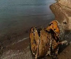 حل معمای قتل مردی که جسدش در بشکه پیدا شد  -  افشای هویت قربانی پس از 40 سال  با آزمایش های ژنتیکی  -  عکس