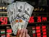 نقطه کور آرامش دلار 260 هزار تومانی  -  ندری: میزان ذخایر ارزی بانک مرکزی روشن نیست