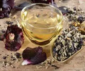 ختمی دوباره مورد توجه پژوهشگران قرار گرفت  -  ترکیب ریشه ختمی و عسل برای تسکین گلو  -  راه های مصرف این گیاه دارویی