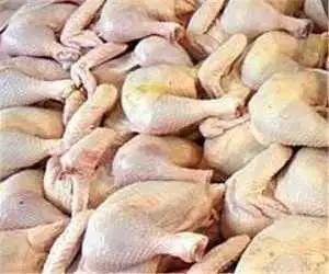 مرغ کامل با قیمت 330 هزار تومان در 5 آبان عرضه شد
