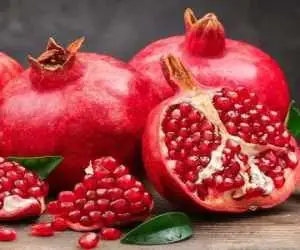 بخشی از انار که همه دور می ریزند؛ پژوهشگران از خواص آن می گویند