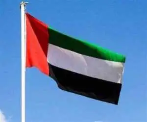 امارات خواهان کاهش تنش ها در منطقه شد