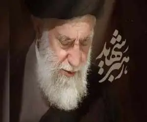 کهنه سرباز آمریکایی بر سر مزار رهبر شهید انقلاب رفت + ویدئو