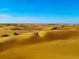 هالووین در کویر ممنوع!   -  پاسخ میراث فرهنگی: پیشگیری کردیم